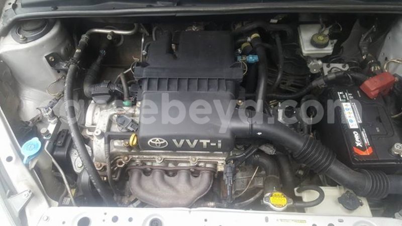 Big with watermark 17796789 902716609870218 4521974656185205947 n