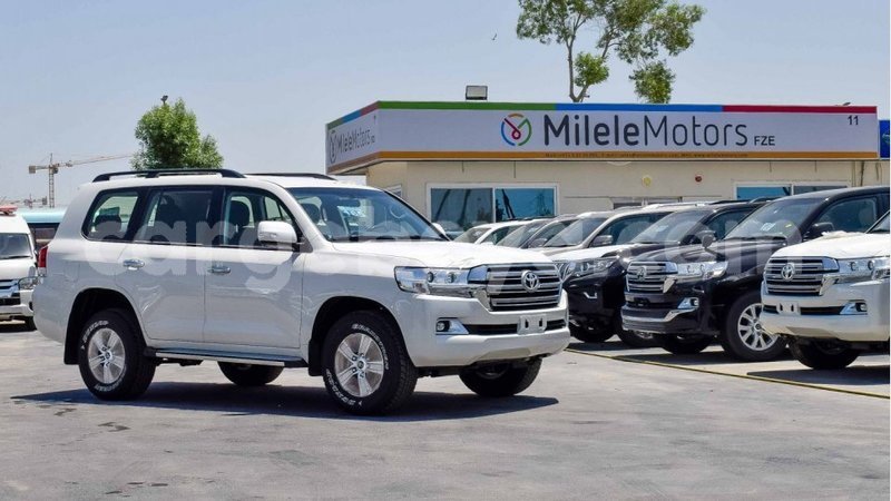 Big with watermark 1