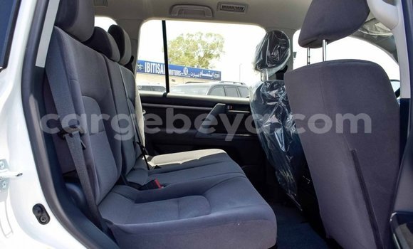 Haaraa Toyota Land Cruiser White Makiinaa iti Abiy Adi keessatti Tigray keessatti Haaraa Toyota Land Cruiser White Makiinaa iti Abiy Adi keessatti Tigray keessatti