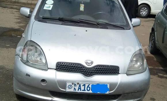 Buy Used Toyota Vitz Silver Car in Addis–Ababa in Ethiopia Buy Used Toyota Vitz Silver Car in Addis–Ababa in Ethiopia