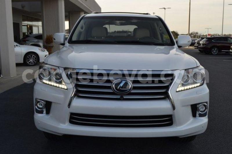 Big with watermark 1