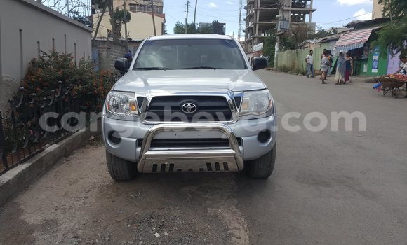 Acheter Occasion Voiture Toyota Tacoma Gris à Addis Ababa, Ethiopie Acheter Occasion Voiture Toyota Tacoma Gris à Addis Ababa, Ethiopie