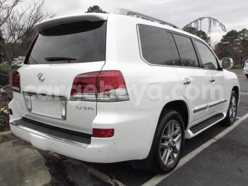 Big with watermark 5