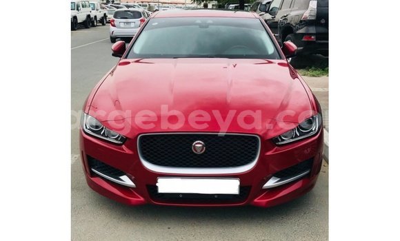 Buy Import Jaguar XE Red Car in Import - Dubai in Ethiopia