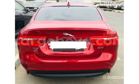 Buy Import Jaguar XE Red Car in Import - Dubai in Ethiopia Buy Import Jaguar XE Red Car in Import - Dubai in Ethiopia