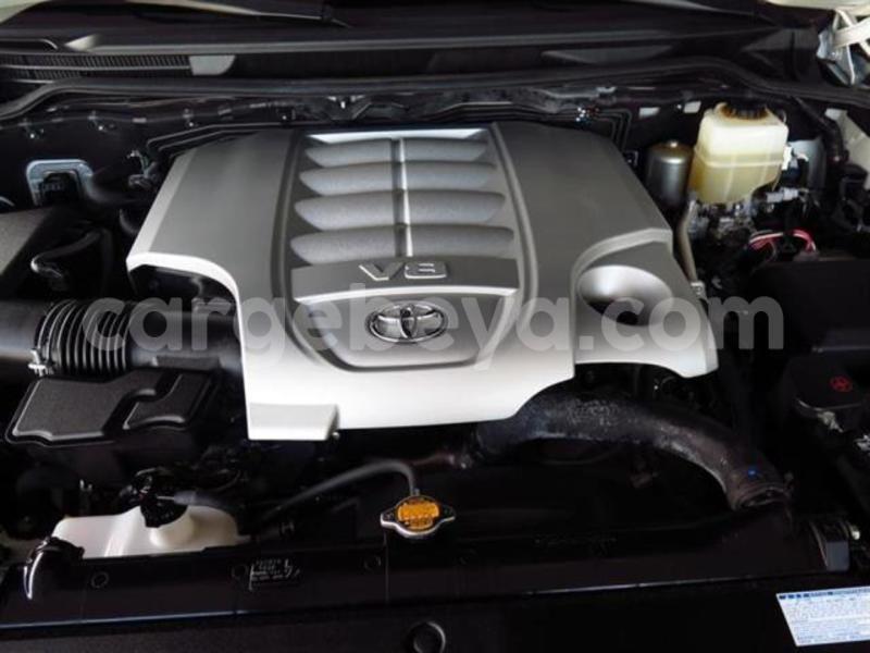 Big with watermark 5c93816ca7745e4684508a9aead