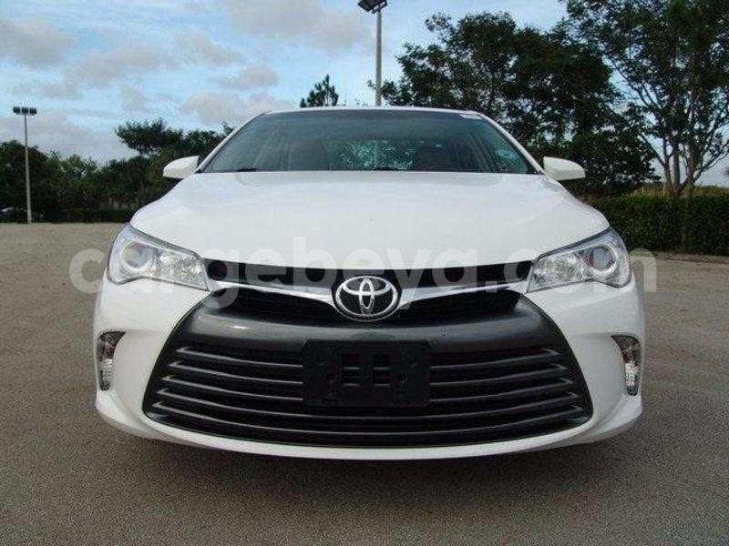 Big with watermark 1