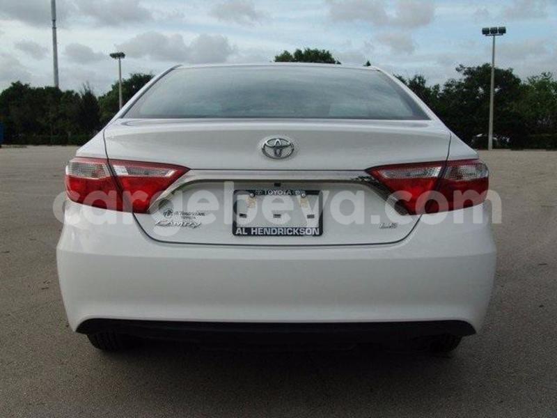 Big with watermark 12