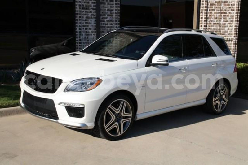 Big with watermark 07