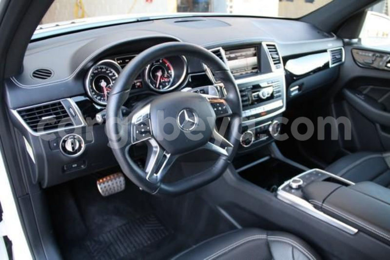 Big with watermark 12