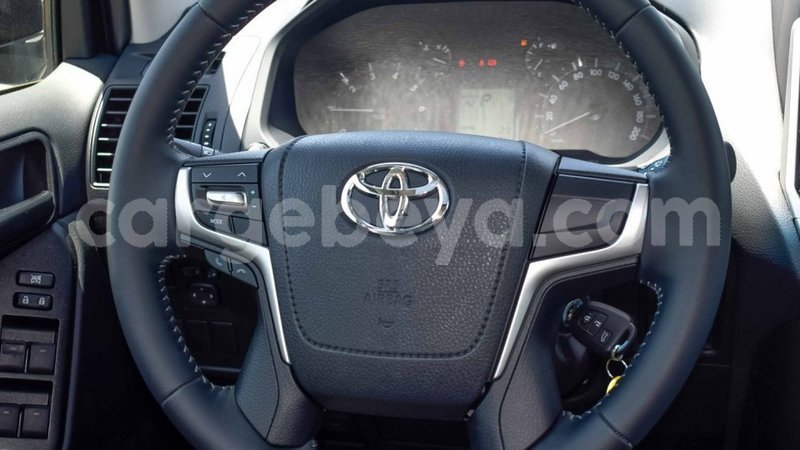 Big with watermark 10