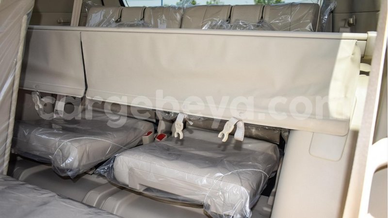 Big with watermark 8