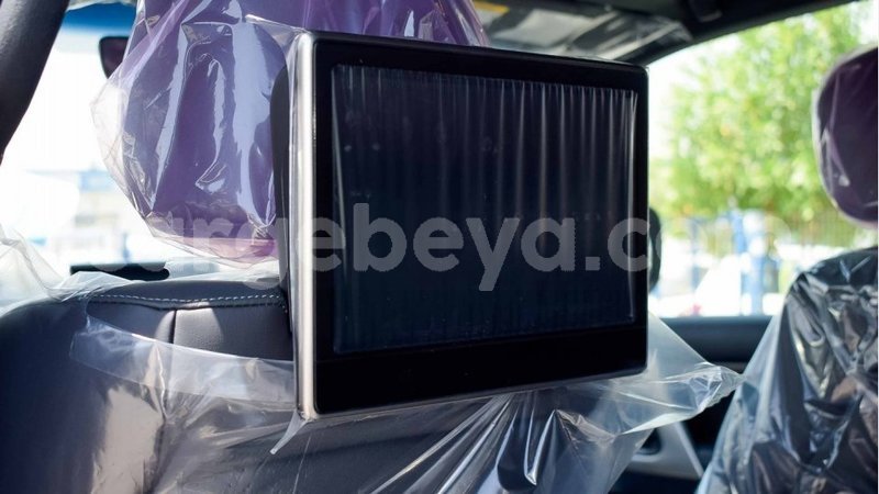 Big with watermark 13