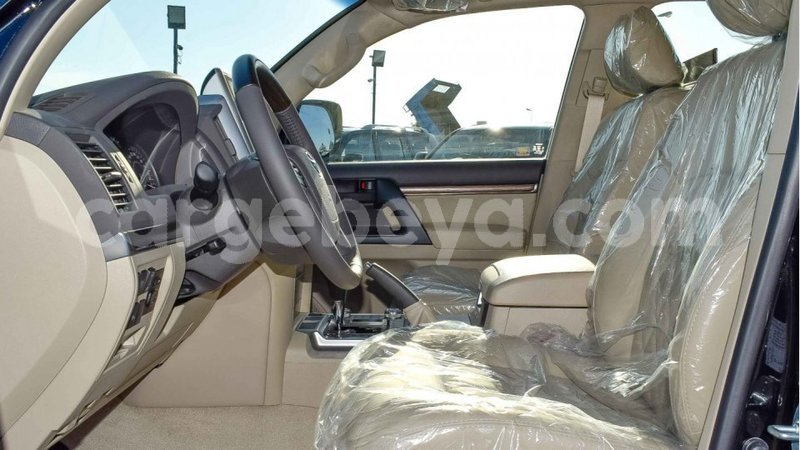 Big with watermark 11