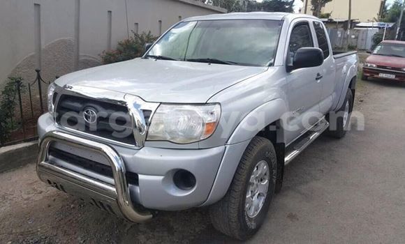 Buy Used Toyota Tacoma Silver Car in Addis–Ababa in Ethiopia Buy Used Toyota Tacoma Silver Car in Addis–Ababa in Ethiopia