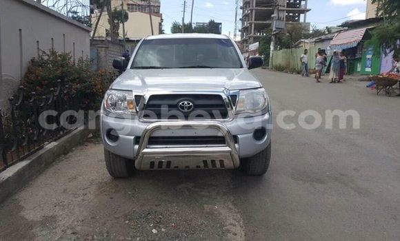 Buy Used Toyota Tacoma Silver Car in Addis–Ababa in Ethiopia Buy Used Toyota Tacoma Silver Car in Addis–Ababa in Ethiopia