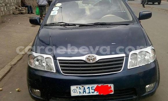 Buy Used Toyota Corolla Black Car in Addis–Ababa in Ethiopia Buy Used Toyota Corolla Black Car in Addis–Ababa in Ethiopia