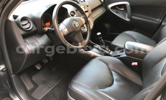 Buy Used Toyota RAV4 Black Car in Addis–Ababa in Ethiopia Buy Used Toyota RAV4 Black Car in Addis–Ababa in Ethiopia