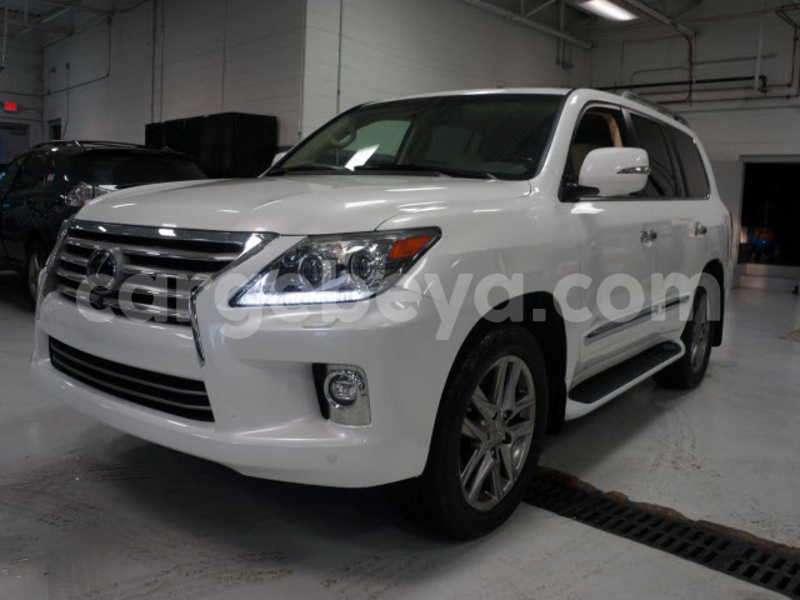 Big with watermark 3