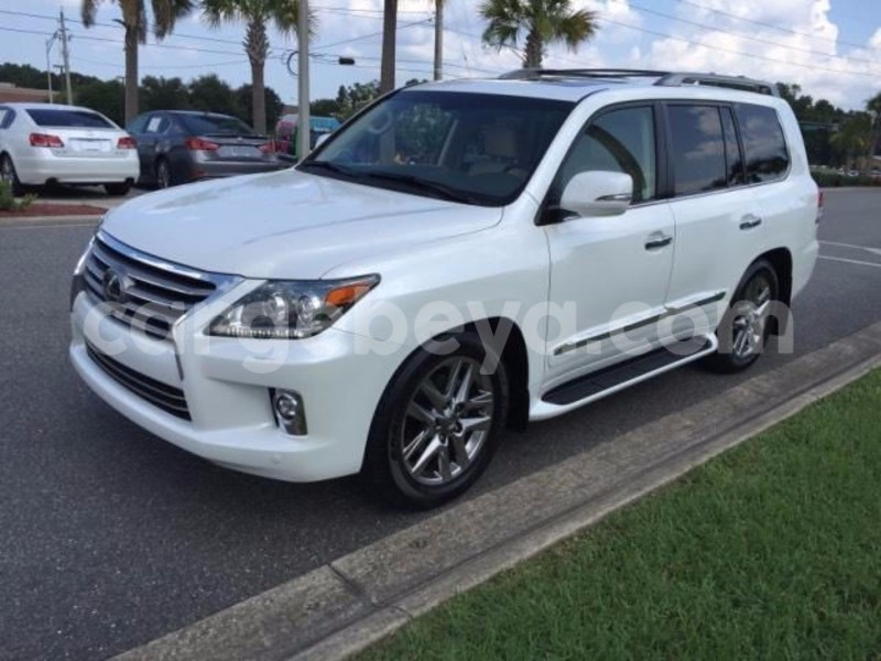 Big with watermark 29