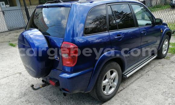Buy Used Toyota RAV4 Blue Car in Addis–Ababa in Ethiopia Buy Used Toyota RAV4 Blue Car in Addis–Ababa in Ethiopia
