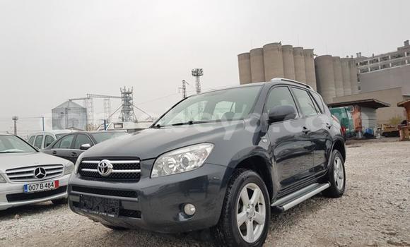 Buy Used Toyota RAV4 Black Car in Addis–Ababa in Ethiopia Buy Used Toyota RAV4 Black Car in Addis–Ababa in Ethiopia