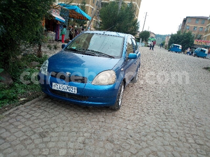 Big with watermark tmp cam 2087806190