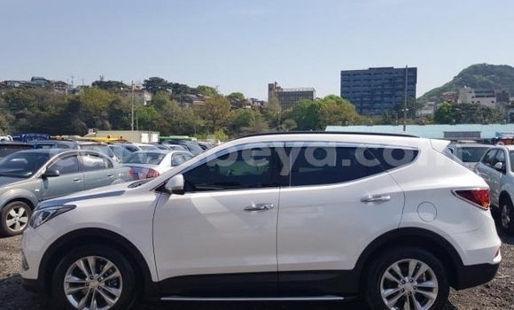 Buy Used Hyundai Santa Fe White Car in Abiy Adi in Tigray Buy Used Hyundai Santa Fe White Car in Abiy Adi in Tigray