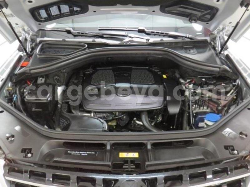 Big with watermark 3