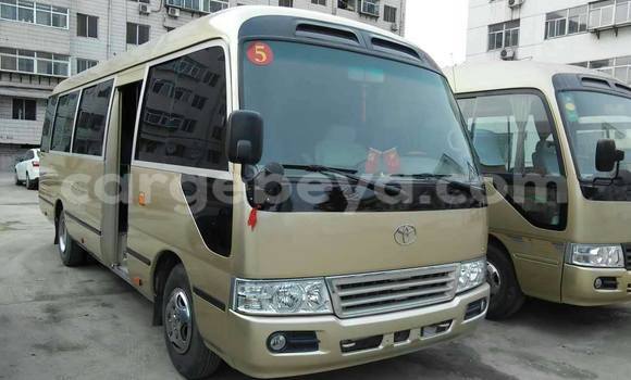 Buy Used Toyota Coaster Beige Car in Addis–Ababa in Ethiopia Buy Used Toyota Coaster Beige Car in Addis–Ababa in Ethiopia