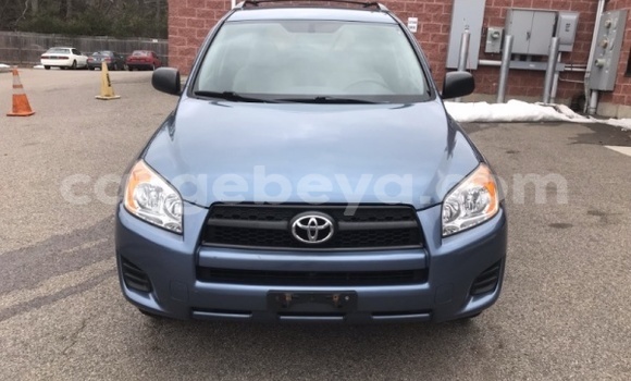 Buy Used Toyota RAV4 Blue Car in Abiy Adi in Tigray Buy Used Toyota RAV4 Blue Car in Abiy Adi in Tigray