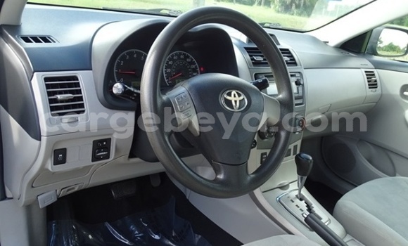 Buy Used Toyota Corolla Silver Car in Abiy Adi in Tigray Buy Used Toyota Corolla Silver Car in Abiy Adi in Tigray