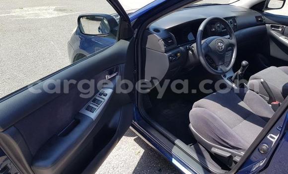Buy Used Toyota Corolla Blue Car in Addis–Ababa in Ethiopia Buy Used Toyota Corolla Blue Car in Addis–Ababa in Ethiopia