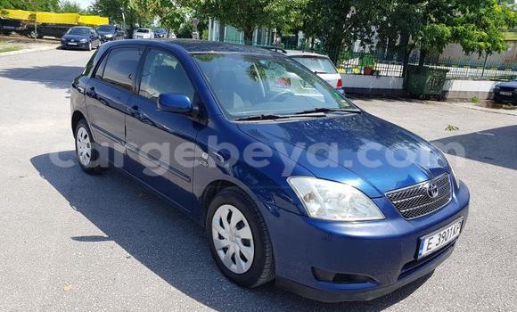 Buy Used Toyota Corolla Blue Car in Addis–Ababa in Ethiopia Buy Used Toyota Corolla Blue Car in Addis–Ababa in Ethiopia