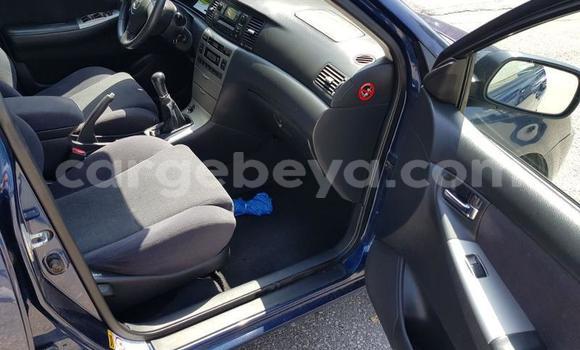 Buy Used Toyota Corolla Blue Car in Addis–Ababa in Ethiopia Buy Used Toyota Corolla Blue Car in Addis–Ababa in Ethiopia