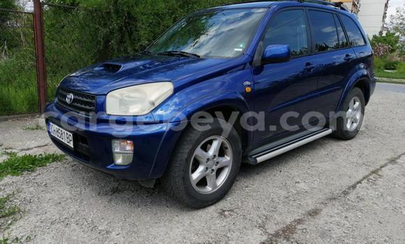 Buy Used Toyota RAV4 Blue Car in Addis–Ababa in Ethiopia Buy Used Toyota RAV4 Blue Car in Addis–Ababa in Ethiopia