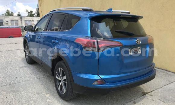 Buy Used Toyota RAV4 Blue Car in Addis–Ababa in Ethiopia Buy Used Toyota RAV4 Blue Car in Addis–Ababa in Ethiopia