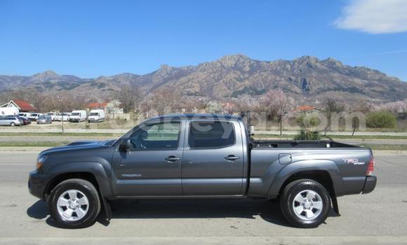 Buy Used Toyota Tacoma Beige Car in Addis–Ababa in Ethiopia Buy Used Toyota Tacoma Beige Car in Addis–Ababa in Ethiopia