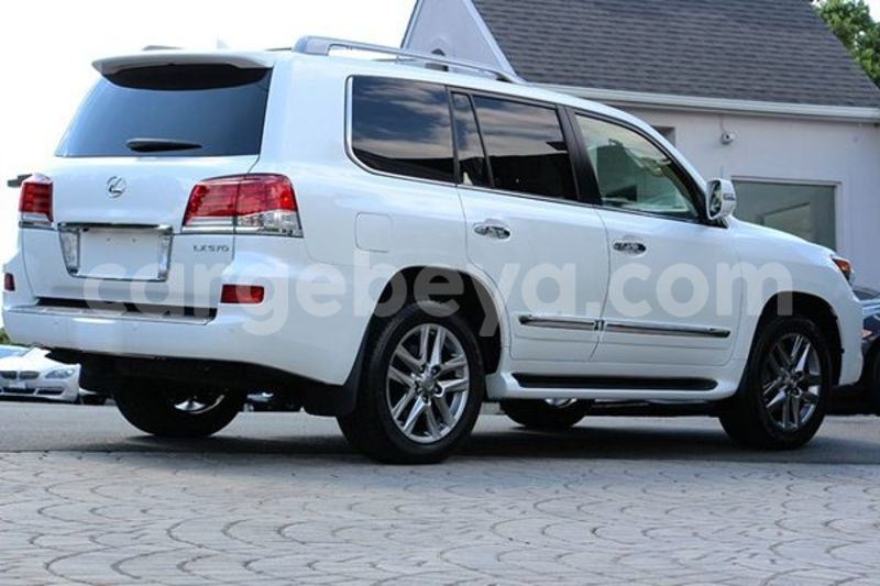 Big with watermark 3