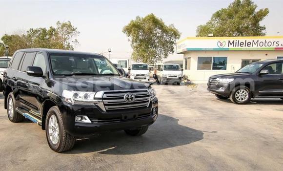 Haaraa Toyota Land Cruiser Black Makiinaa iti Abiy Adi keessatti Tigray keessatti Haaraa Toyota Land Cruiser Black Makiinaa iti Abiy Adi keessatti Tigray keessatti