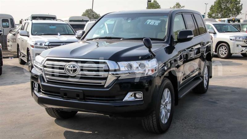 Big with watermark 3