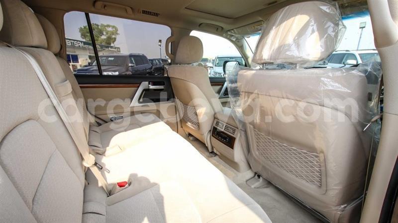 Big with watermark 7