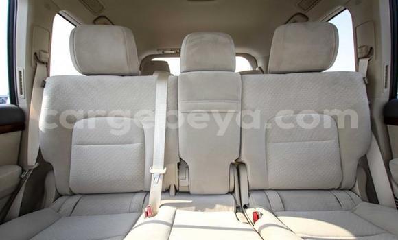 Haaraa Toyota Land Cruiser Black Makiinaa iti Abiy Adi keessatti Tigray keessatti Haaraa Toyota Land Cruiser Black Makiinaa iti Abiy Adi keessatti Tigray keessatti