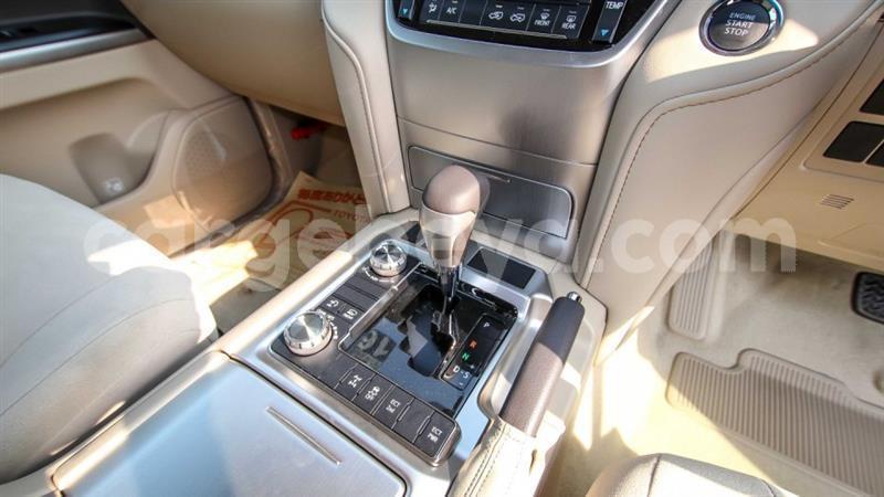 Big with watermark 10