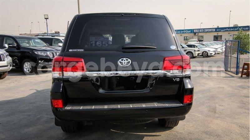 Big with watermark 14