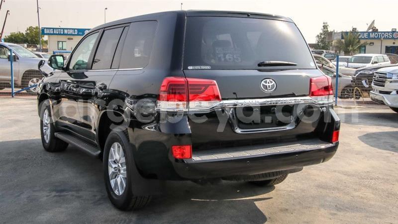 Big with watermark 15