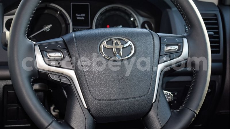 Big with watermark 12