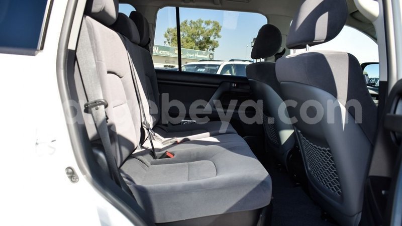 Big with watermark 8