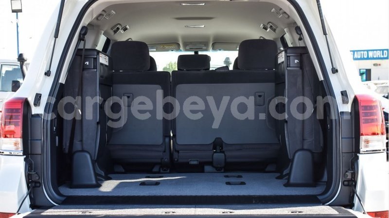 Big with watermark 13