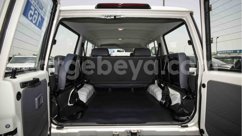 Big with watermark 11